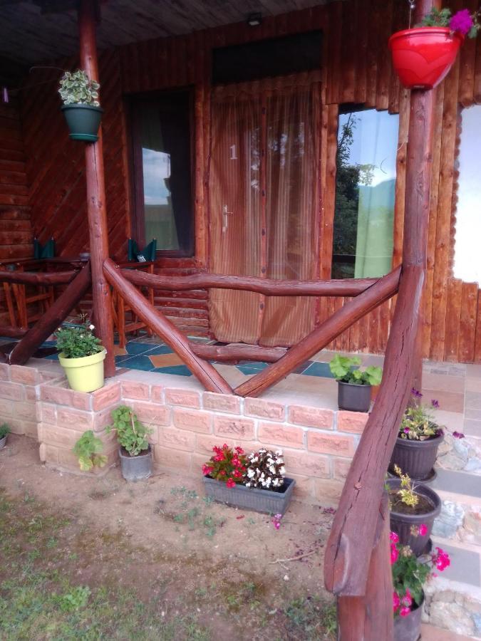 Hacijenda Gane Apartment Soko Banja Exterior foto