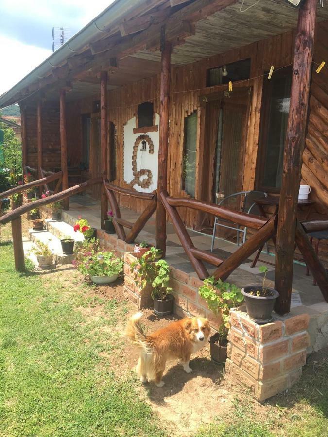 Hacijenda Gane Apartment Soko Banja Exterior foto